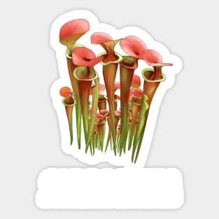 Carnivorous Plant Gift Sarracenia Flava Sticker